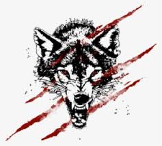 The gray wolf or grey wolf, also known as the timber wolf or western wolf, is a canine native to the wilderness and remote areas of eurasia and north america. Angry Wolf Png Wolf Angry Png Image Transparent Png Free Download On Seekpng