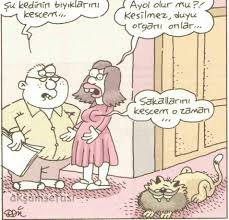 Nil Adli Kullanicinin Deli Mizah Panosundaki Pin Caricatures Karikatur Komik Seyler