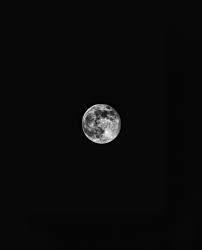 Find over 100+ of the best free black and white moon images. 1000 Black Moon Pictures Download Free Images On Unsplash