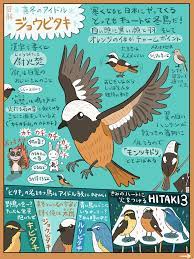 ウィンターアイドル ジョウビタキ 沼の見える街 動物 図鑑 ペットの鳥 鳥 図鑑