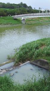 Физика и математические, компьютерные и информационные науки. æŠ«è'—ç¶ çš®ä¸Šå·¥çš„æ—¥æœˆå…‰ åœ°çƒå…¬æ°'åŸºé‡'æœƒ