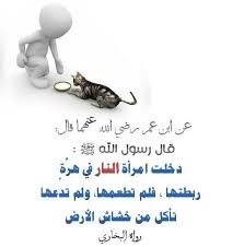 الرفق بالحيوان Ahadith Hadith Islamic Cartoon