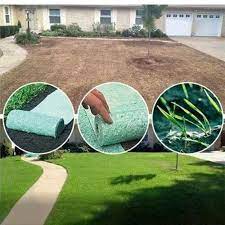 A Beautiful Lawn Can Be Cultivated In Four Weeks No Manual Care Is Required Just Watering Video Landscape Ideas Front Yard Curb Appeal Backyard Home Landscaping