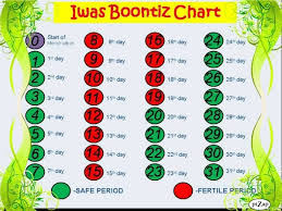 Calendar Birth Control Chart 4 Best Images Of Natural