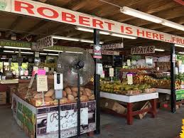 Everglades short trip — Solo Female Wanderer