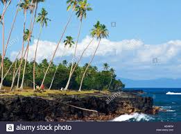 Der archipel von samoa liegt im südwestpazifik, auf halber strecke zwischen hawaii und neuseeland, und ist seit mehr als drei jahrtausenden bewohnt — die europäer haben es allerdings erst im 18. Samoa Savaii Insel Strand Strand Sand Palmen Sonne Wolken Welle Urlaub Freizeit Reisen Abend Lichtwellen Rock Vulkan Vulkanische Coa Stockfotografie Alamy
