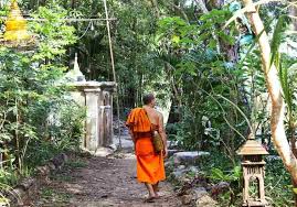 Monk S Trail Hike To Wat Pha Lat Jungle Temple Unconventional And Vivid Jungle Temple Monk Plant Shed