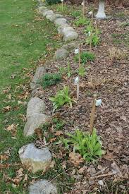 Admittedly, neither option looks great in the garden, but if it fends off the hungry chipmunks it's worth a shot. Repelling Deer Using Irish Spring Soap A Test Hometalk