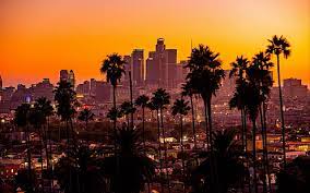 Multiple sizes available for all screen sizes. Hd Wallpaper Los Angeles Palm Trees Sunset Wallpaper Flare