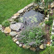 Check spelling or type a new query. How To Make A Bog Garden The Home Depot