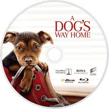 A dog's way home : A Dog S Way Home Movie Fanart Fanart Tv
