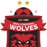Wollongong Wolves FC — Sutherland Sharks FC