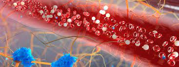 Haufig Gestellte Fragen Zu Triglyceriden Haufig Gestellte Fragen Rxlist Triglyceride