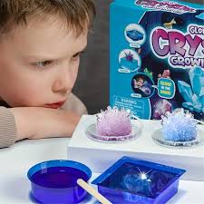 Crystal Growing Kit STEAM Chemical Science Experiment 2pcs Luminous Crystal  Educational Craft DIY Projects Kits Lab Experiment