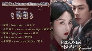 English/Pinyin/Full Album] The Prisoner of Beauty OST Playlist with LYRICS 