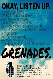 Pin On Fault In Our Stars