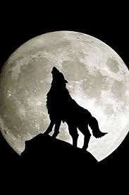 You can make this wallpaper for your iphone 5, 6, 7, 8, x backgrounds, mobile screensaver, or ipad lock screen. Wolf Moon Wallpapers Group 67