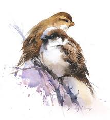 Birds In My Area Now Nitin Singh On Instagram A House Sparrow Watercolor Bird Unfortunately Now A Days We Don T See Much Bird Watercolor Paintings Watercolor Bird Bird Drawings