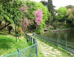 حديقة يلدز يلداز باركي Yildiz Parki تقع في منطقة جنكيا يلدز Istanbul Plants