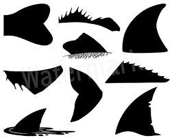 Free Free 212 Svg Shark Fin Outline SVG PNG EPS DXF File