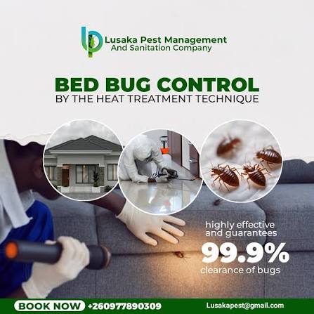 Professional Bed Bug Eradication Techniques in Western New York