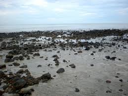 Pantai batu hitam, kuantan, pahang, malaisia 4.1. Bukan Sahaja Terkenal Dengan Tanah Tinggi Ini 9 Pantai Cantik Di Pahang Ramai Tak Tahu Gaya Hidup Cari Infonet