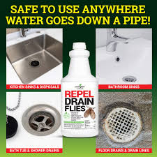 drain flies, fruit fly killer