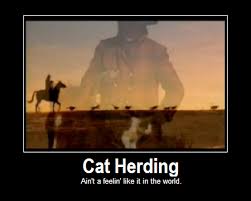 Taking 40 Preschoolers To The Big House Herding Cats Cats Grumpy Cat Humor