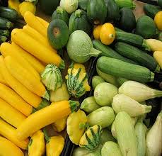 We did not find results for: Squash Farming Information Guide Agri Farming