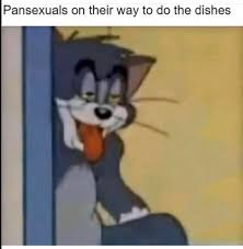 6) what qualities do you look for in a partner? Pansexuals Smh Album On Imgur
