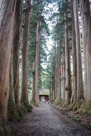 Check spelling or type a new query. é•·é‡ŽçœŒã®è¦³å…‰åœ°22é¸ é•·é‡Žæ—…è¡Œã§å¤–ã›ãªã„å¿…è¦‹è¦³å…‰åœ°ã‹ã‚‰ãŠã™ã™ã‚ã‚°ãƒ«ãƒ¡ã¾ã§ Tabi Channel