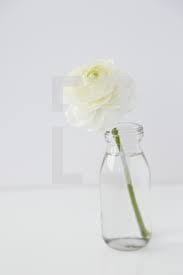 Simplistic and elegant in design, this décor piece refusing to wilt and wither, this faux floral arrangement offers a boost of botanical beauty without any upkeep. White Flower In A Clear Vase Photo Lightstock