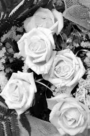 Black and white pictures of flowers roses. Bouquet Of Roses Black And White Photo Stock Image Colourbox