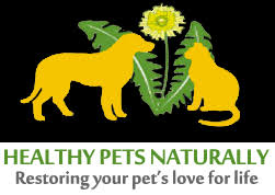 Rhonda ross and the staff are dedicated to providing each and every owner and pet with quality service and care by offering traditional care such as: Healthy Pets Naturally Cat Dog Natural Remedies Treatments