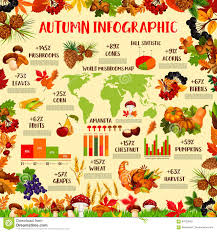 autumn season nature infographic template design stock