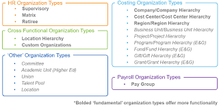 Workday Organization Tutorial The Only Hcm Course Course