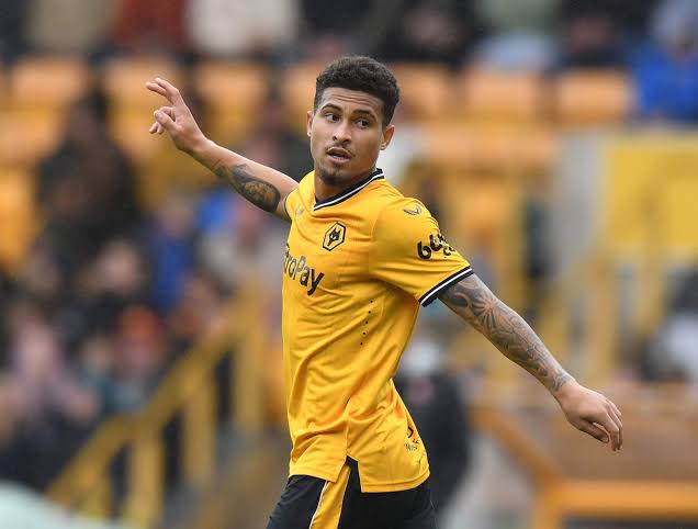 Joao Gomes interview: Wolves midfielder on stammer, #FreeGomes campaign and  love of Flamengo - The Athletic