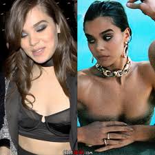 Hailee Steinfeld's Tempting Nip Slips - The Glimpse into Her Hidden Nude Realm