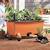 Garden Kit