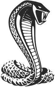 Black And White Mustang Logo Clipart Image Result For Snake Head Drawings Cobra Tattoo Mustang Tattoo Mustang Logo