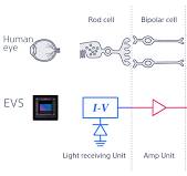 Event-based Vision Sensor (EVS) Technology | Image Sensor ...