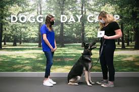 Find a course that suits you today. Will Your Dog Be The Smartest At The Park Petsmart S Brain Games Training Course Can Help