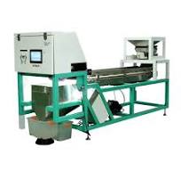 Walnut Kernel Color Sorter Remove Black Reject Ones and Size Sorting