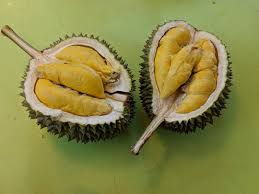 These pictures of this page are about:jenis durian. Durian Paling Unik Dan Termahal Di Dunia Sudah Tahu Merahputih