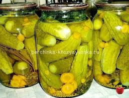 салат из огурцов на зиму с горчицей и чесноком Recepty Vkusnyh Marinovannyh Ogurcovmarinovannye Ogurcy Samye Poedaemye Ovoshi Vo Mnogih Semyah Zimoj Receptov Ih Est Ochen Mnogo Recepty Gorchica Marinovanie