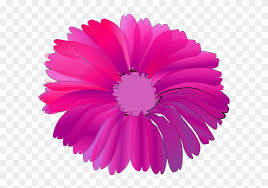 Download Pink Flower With Black Background Svg Clip Arts 600 Cactus Flower Clip Art Free Transparent Png Clipart Images Download