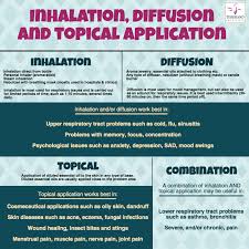 Essential Oil Applications Inhalation Diffusion And