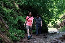 We did not find results for: Thuringen Wanderung Durch Die Drachenschlucht Und Zur Wartburg Thetravelholics