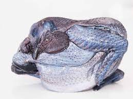 The characteristics of black australorp chicken breed are listed below. Black Chicken For Baby First Foods For Babies Solid Starts