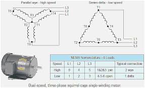 Motors for specific use and with reduced application are not shown. 6 Lead 2 Speed Motor Wiring Diagram Wiring Diagram Networks
